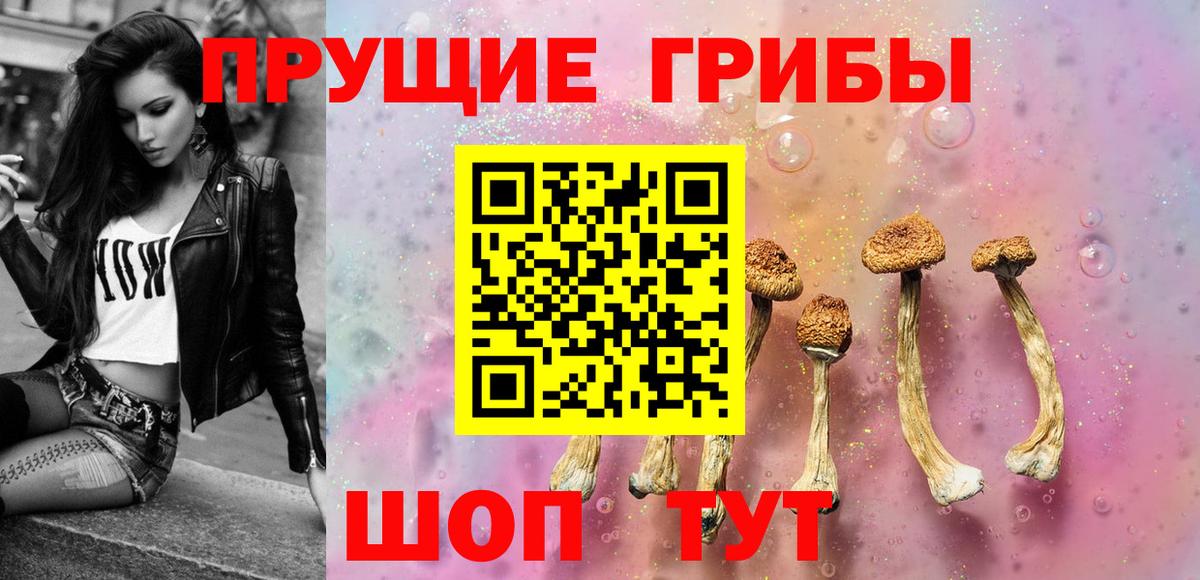 Галлюциногенные грибы Psilocybine cubensis Лениногорск